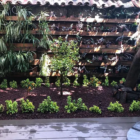 公寓式酒店 Ozzy Homes Muestakil Bahceli Muethis 4*