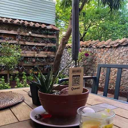 公寓式酒店 Ozzy Homes Muestakil Bahceli Muethis