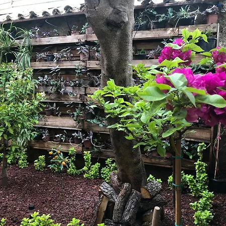 Aparthotel Ozzy Homes Muestakil Bahceli Muethis 4*